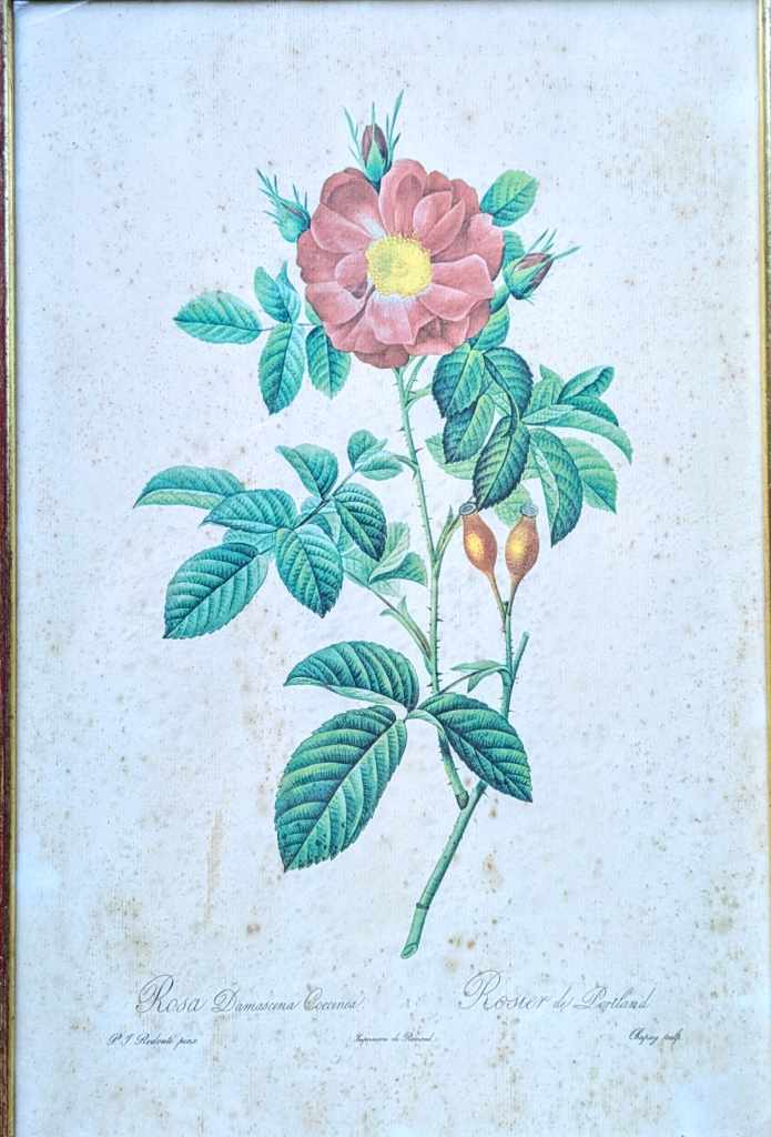 Gravure ancienne 54
